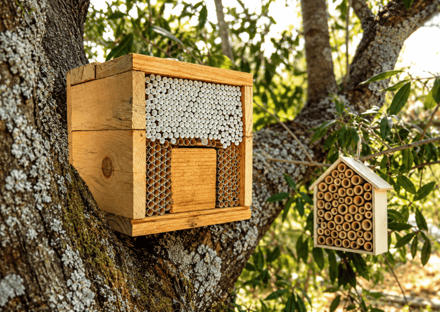 Workshop: Building Bio-Shelters for Pollinators