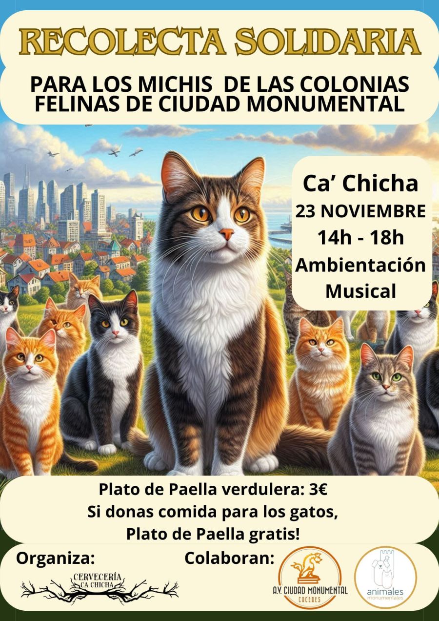 Recolecta solidaria - Colonias Felinas Ciudad Monumental Cáceres