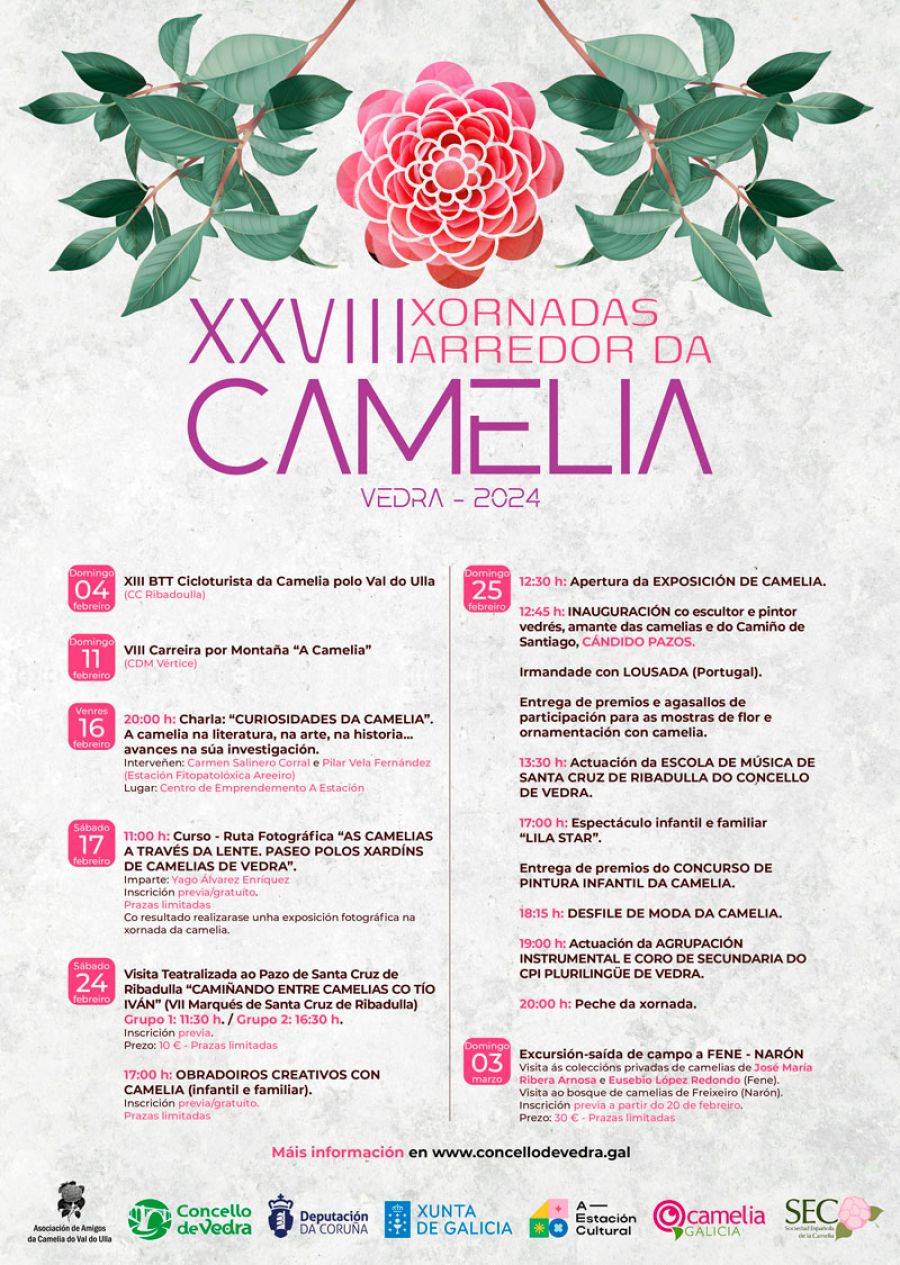 XORNADAS ARREDOR DA CAMELIA