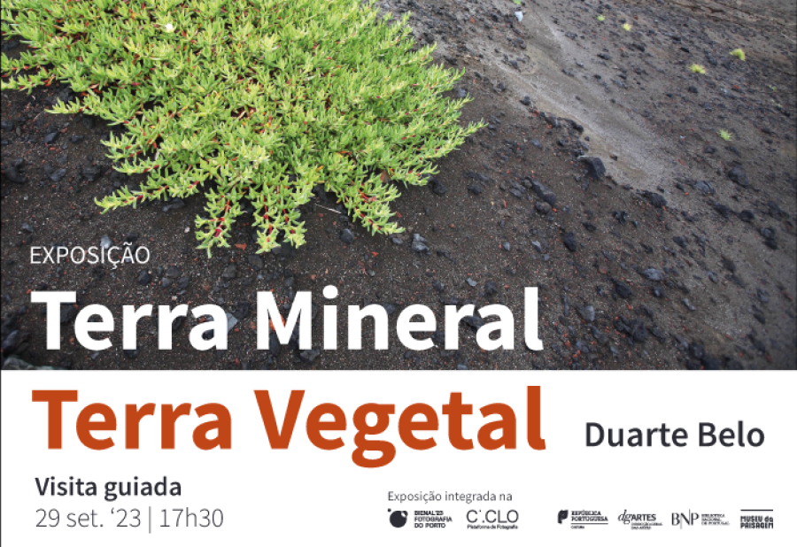 VISITA GUIADA à exposição 'Terra Mineral - Terra Vegetal'