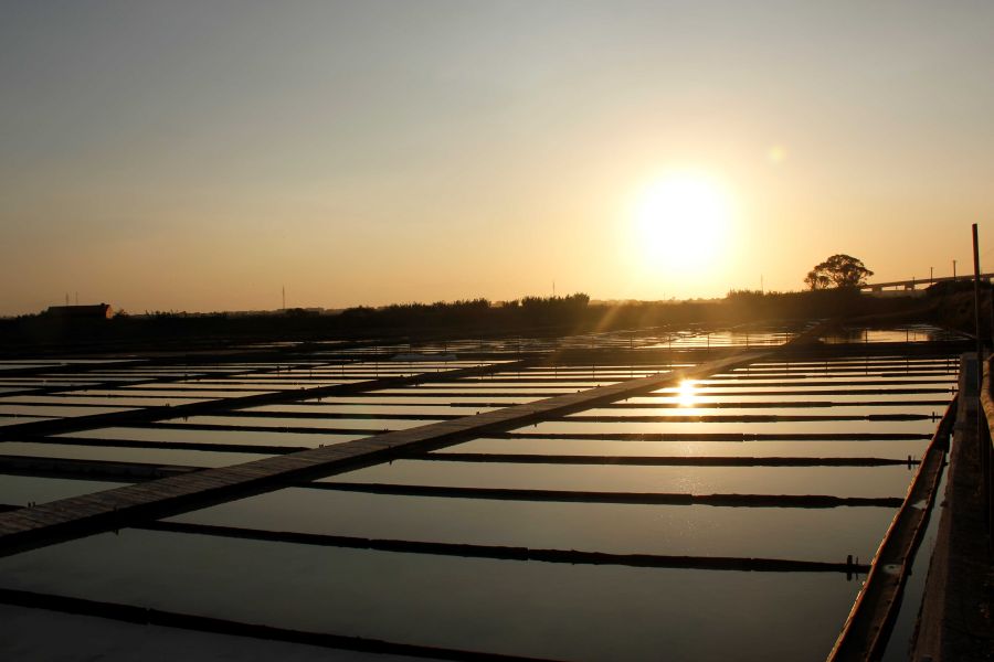 PÔR DO SOL E OS FLAMINGOS DA MORRACEIRA