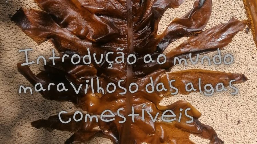 Introdução ao mundo maravilhoso das algas comesstíveis