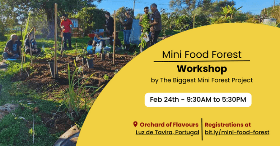 Mini Food Forest Workshop 