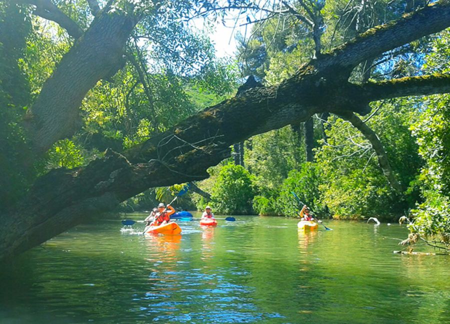 Arrábida Adventure: Hiking, Kayaking & Organic Picnic