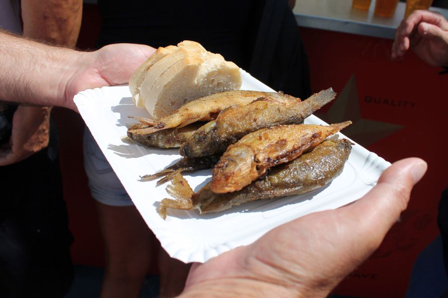 Fiesta de la Tenca 2026 | Una fiesta con sabor