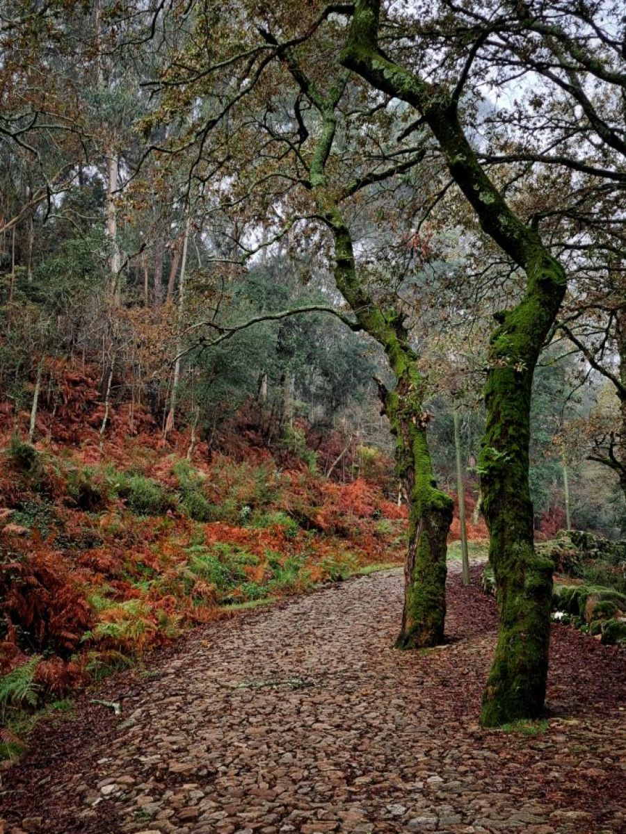 Pausa para um (Re)encontro!