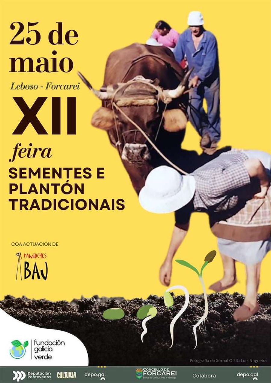XII Feira de Sementes e Plantón Tradicionais 2025 | Forcarei