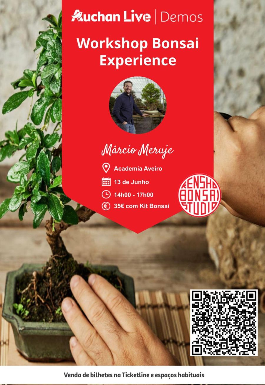 Workshop Bonsai Experience