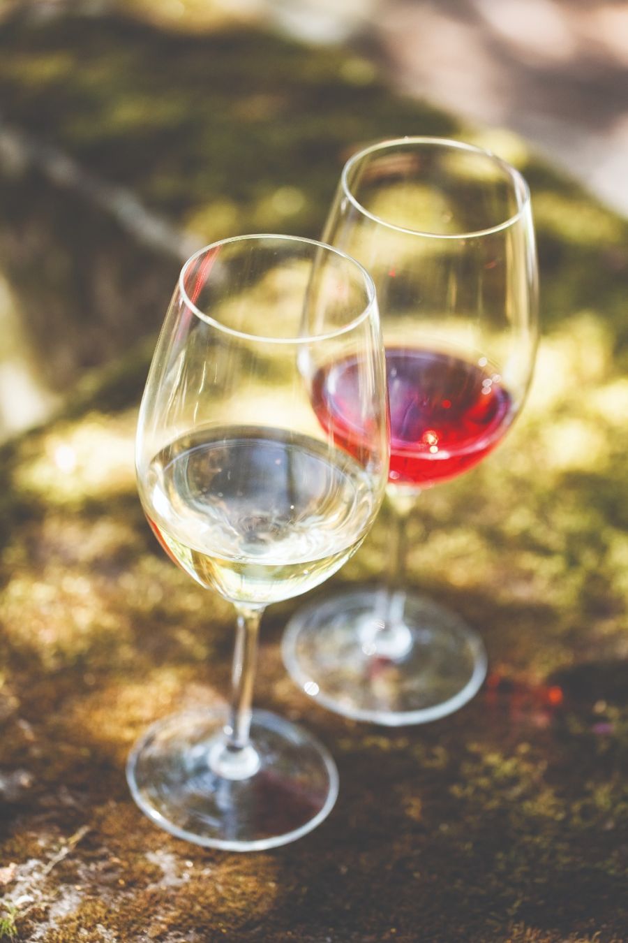 Guarda Wine Fest estreia-se este fim-de-semana