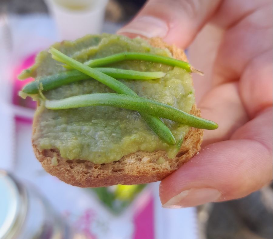 As Plantas Silvestres Comestíveis (e outras PANCS) do Passeio Ribeirinho da Póvoa de Santa Iria