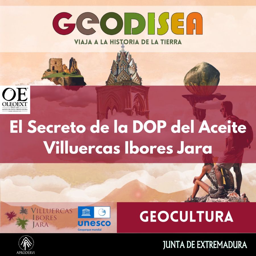 El secreto de la DOP del Aceite Villuercas Ibores Jara
