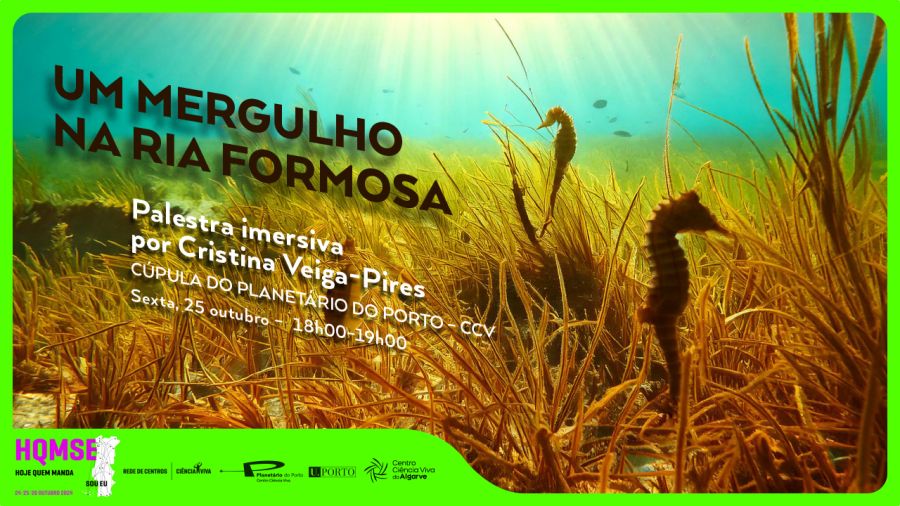 Um Mergulho na Ria Formosa – palestra e filme imersivo