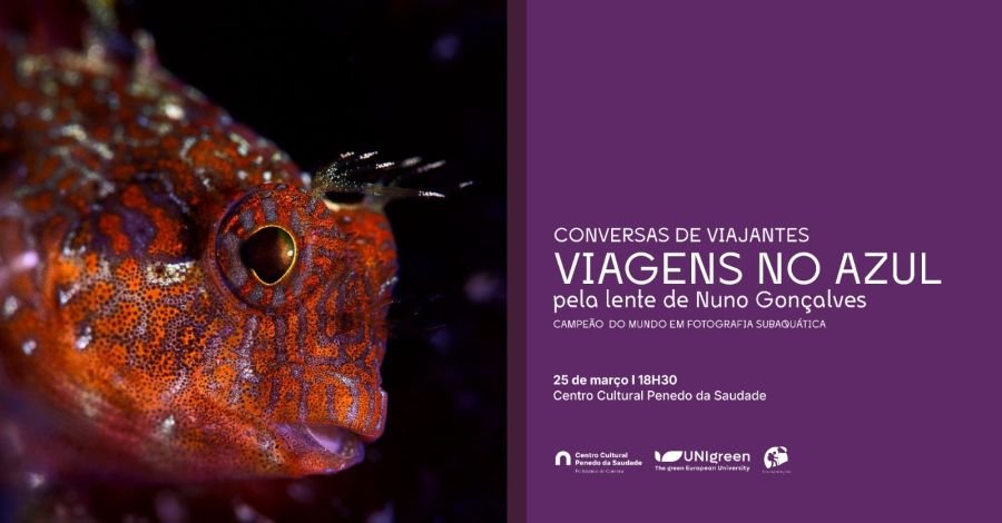 Viagens no azul, pela lente de Nuno Gonçalves