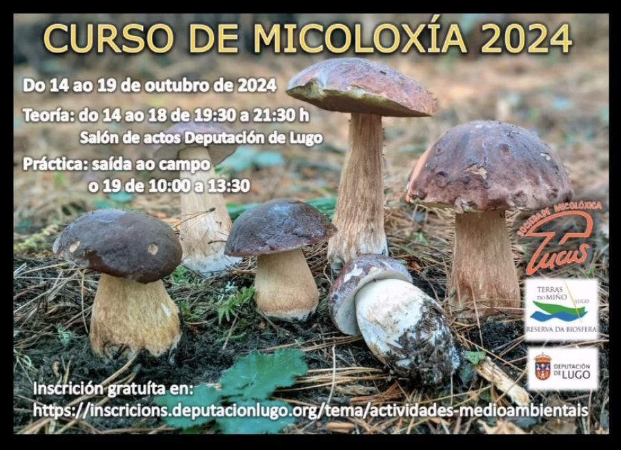 CURSO | 'Micoloxía na Reserva da Biosfera Terras do Miño'