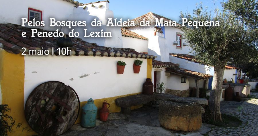Pelos Bosques da Aldeia da Mata Pequena e Penedo do Lexim
