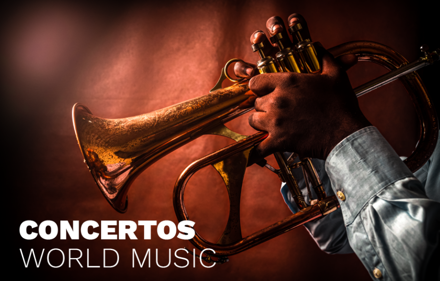Ivo Dias Música Brasileira, World Music 20h.30 Jantar & Concerto