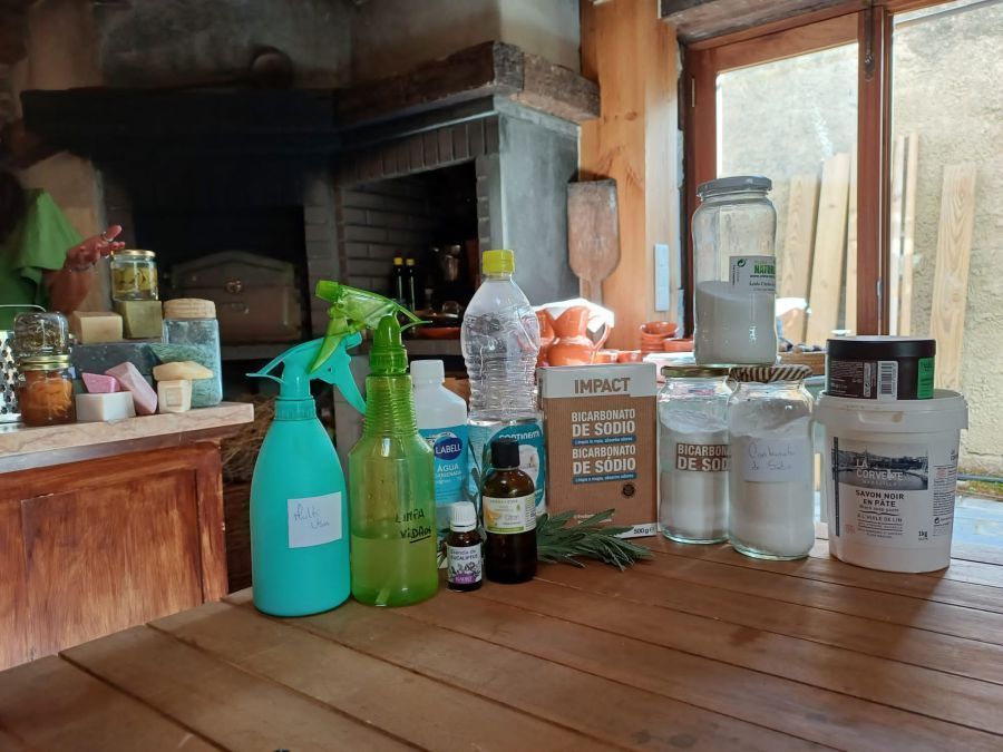 Workshop de Detergentes Ecológicos