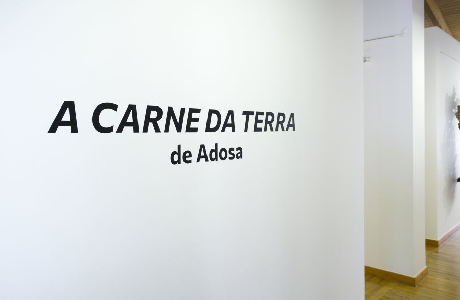 Exposição A CARNE DA TERRA 