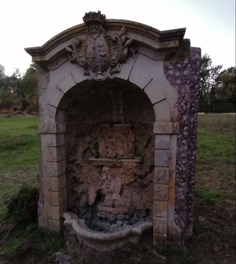 As Plantas Silvestres Comestíveis (e outras PANCS) da Quinta da Piedade - Póvoa de Santa Iria