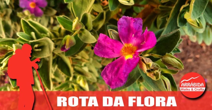 Caminhada . Rota da Flora . Azeitão 