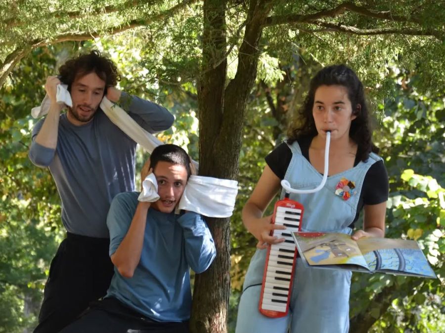 O BICHO PAPELÃO: 'Rosa Meira, Engenheira'