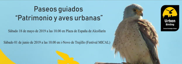 Patrimonio y Aves urbanas en Alcolarín