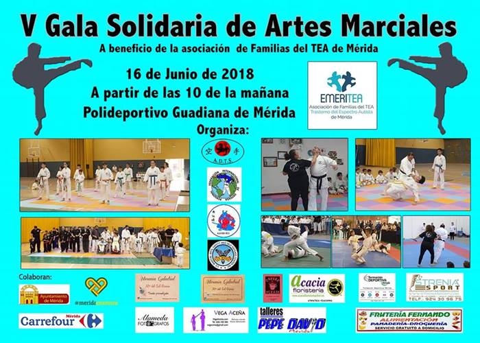 V Gala Solidaria de Artes Marciales a beneficio de EmeriTEA