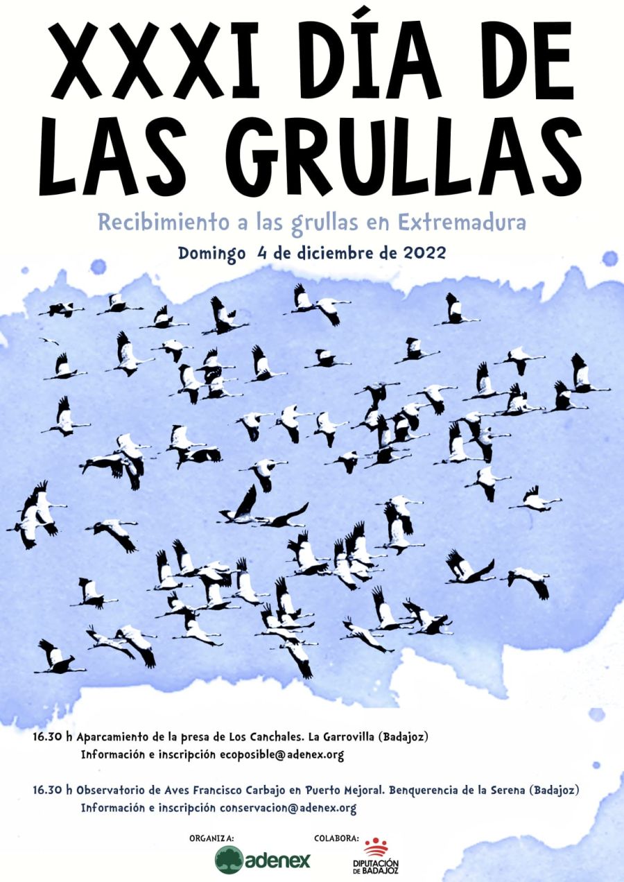 XXXI Día de las Grullas en Extremadura