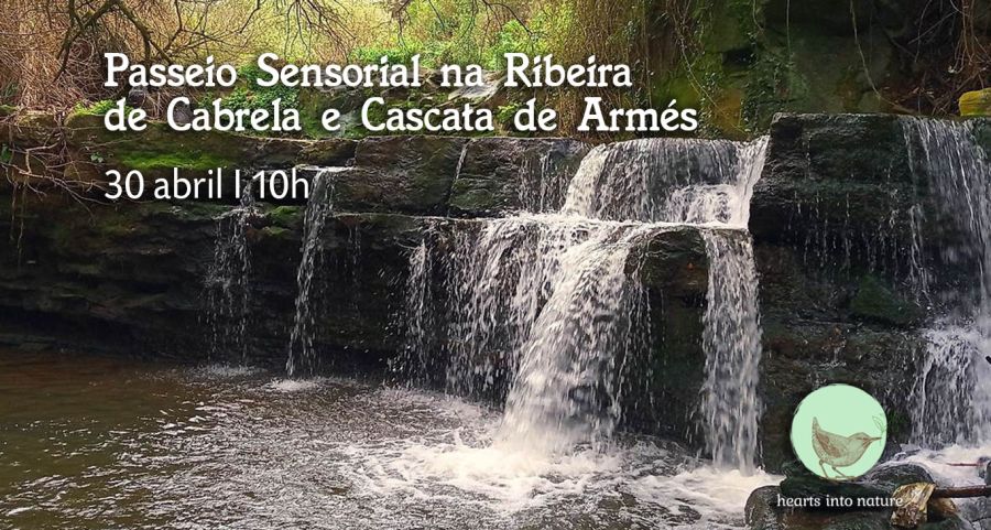 Passeio Sensorial na Ribeira de Cabrela e Cascata de Armés