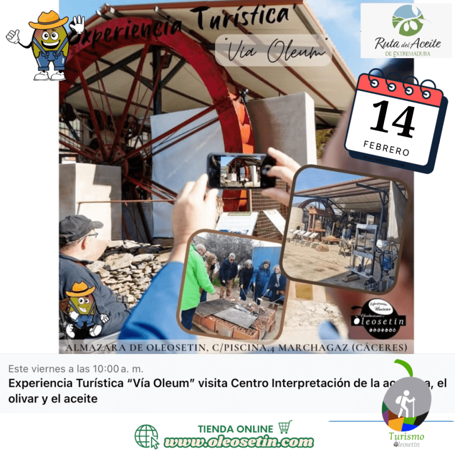 ¡Descubre VIA OLEUM VISITA EL CENTRO DE INTERPRETACIÓN DE LA ACEITUNA, EL OLIVAR Y EL ACEITE!