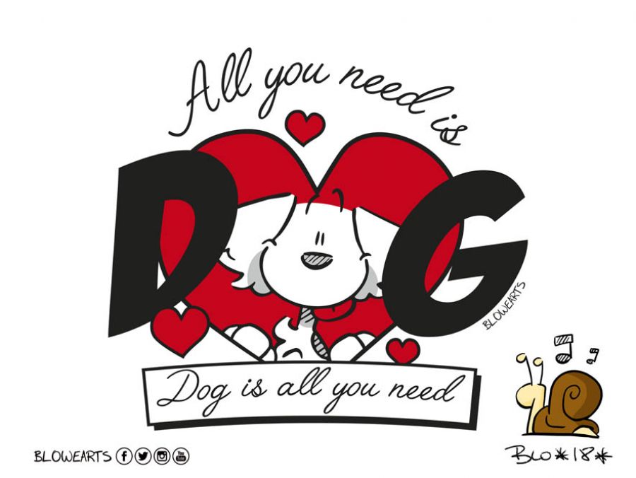 'All you need is DOG'