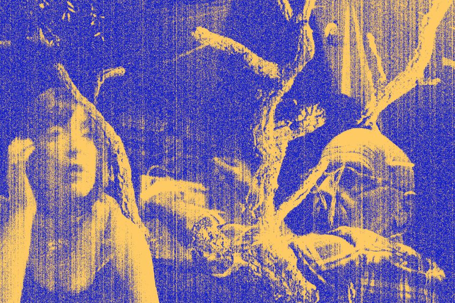 short/age #60 - Curtas com presença dos realizadores