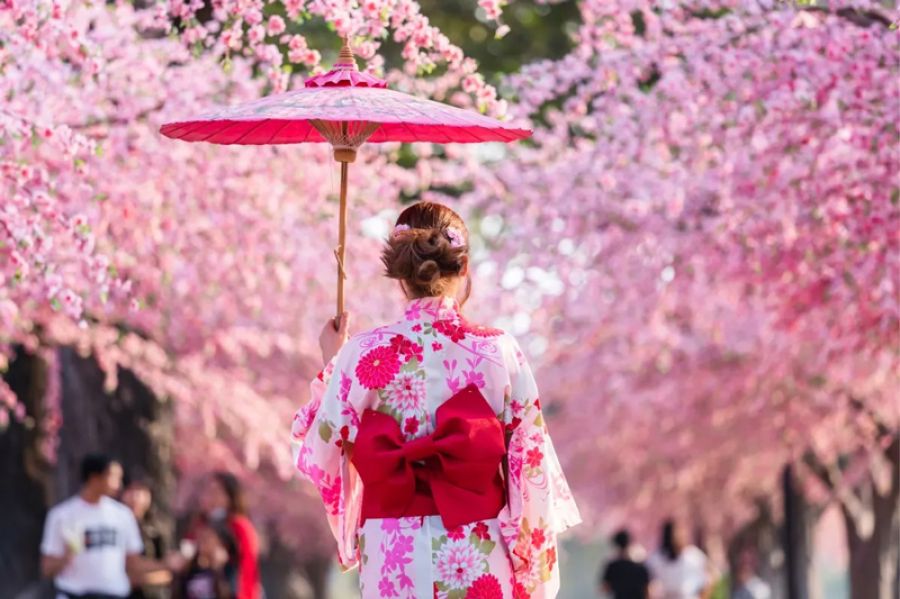 Festival Hanami. Cultura y gastronomía japonesa