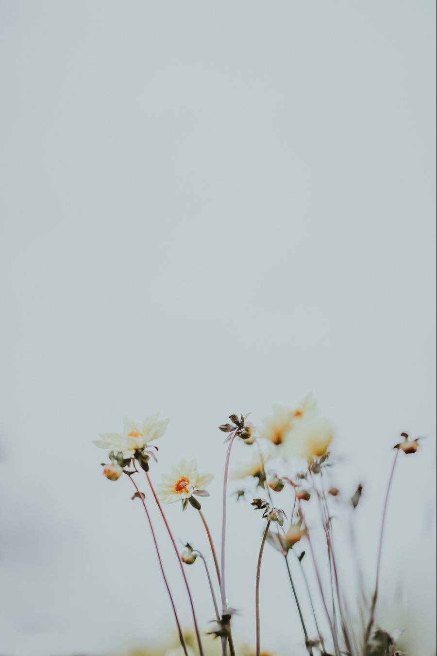 Workshop - You are an artist #9 - The Quietest Place