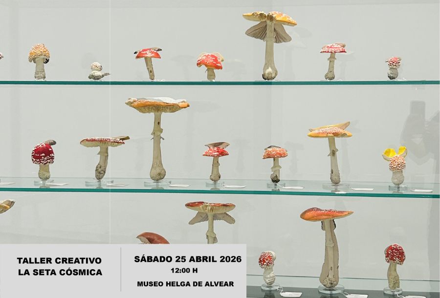 'La seta cósmica' - Taller Creativo