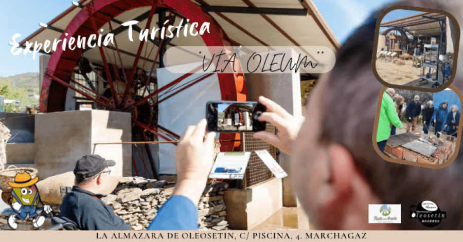 Experiencia Turística “Vía Oleum” Visita el centro de interpretación de la aceituna, el olivar y el aceite