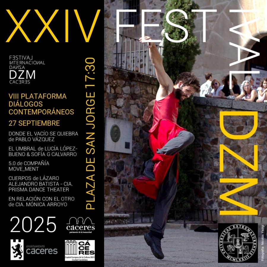 XXIV Festival DZM