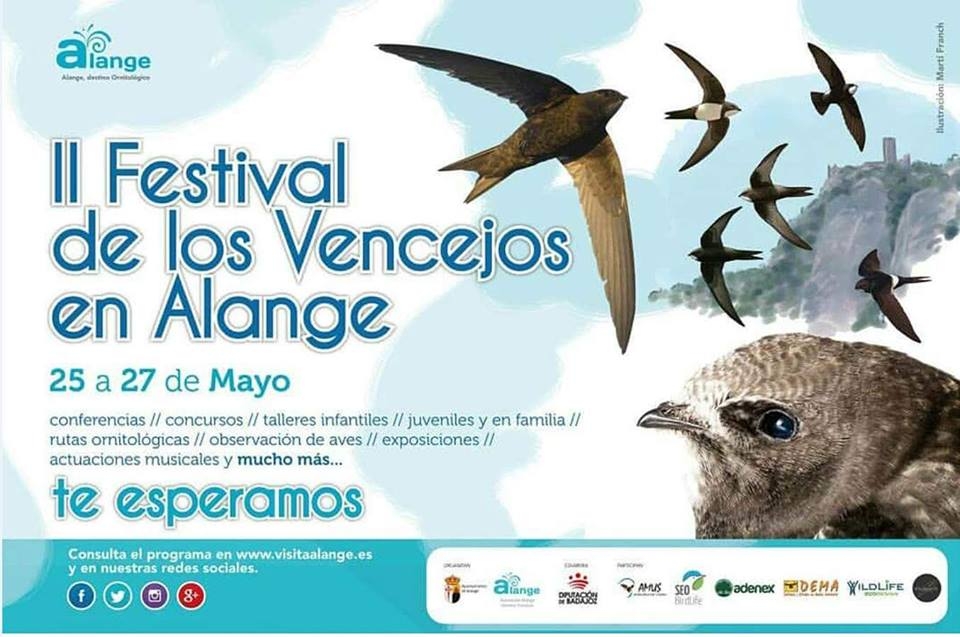IpI Festival de los Vencejos de Alange (Badajoz)
