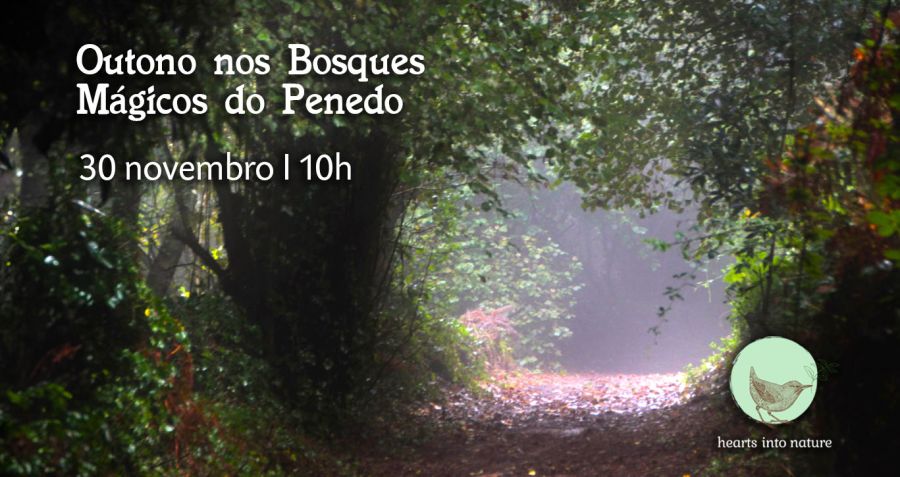 Outono nos Bosques Mágicos do Penedo