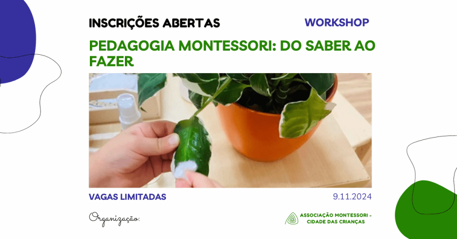 Pedagogia Montessori: Do Saber ao Fazer