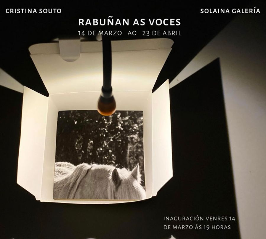 Exposición | RABUÑAN AS VOCES de Cris Souto