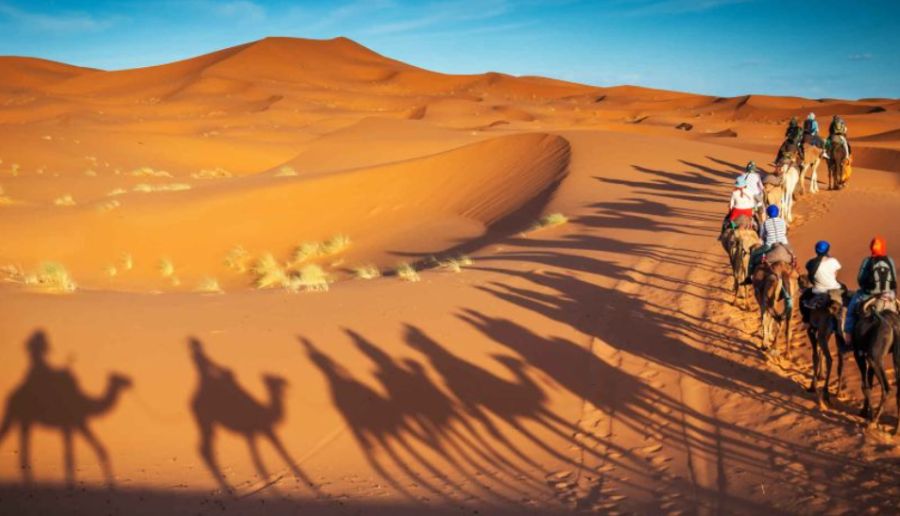 Marrocos – Cidades, Fortificações e Deserto do Saara