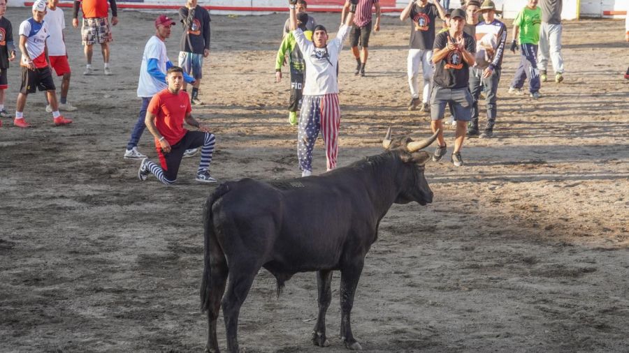 Corridas de toros. Fiestas de San José 2023