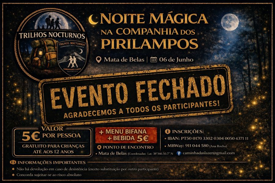 NOITE MÁGICA NA COMPANHIA DOS PIRILAMPOS