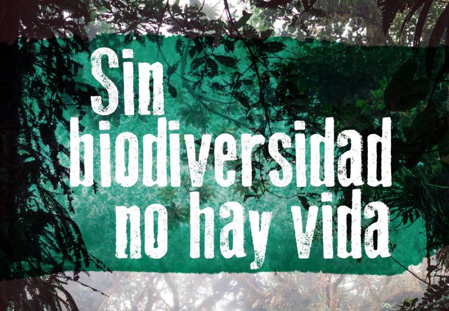 Exposición: Sin biodiversidad no hay vida
