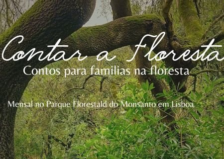 Contar a Floresta - contes pour familles dans la forêt