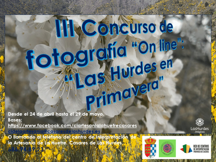CONCURSO FOTOGRÁFICO “ON LINE” 