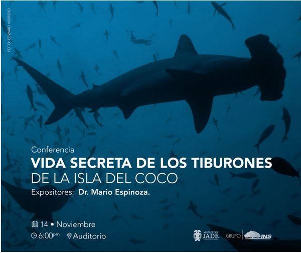 Vida secreta de los tiburones de la Isla del Coco. Mario Espinoza. Biología