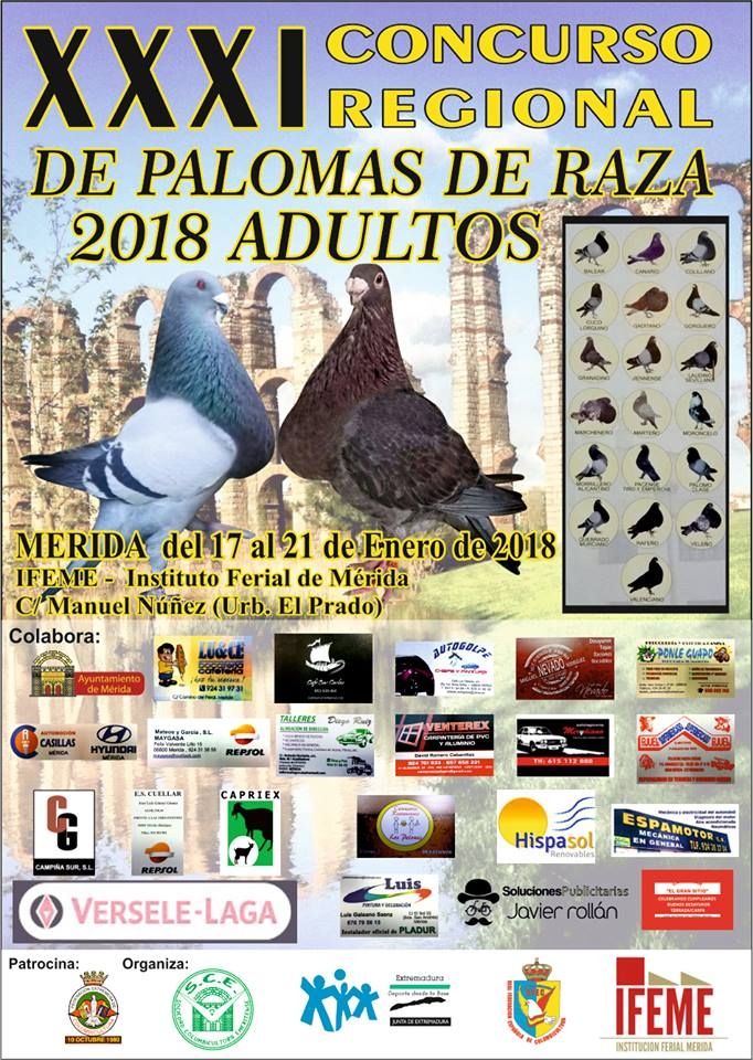 XXXI Concurso Regional de Palomas de Raza