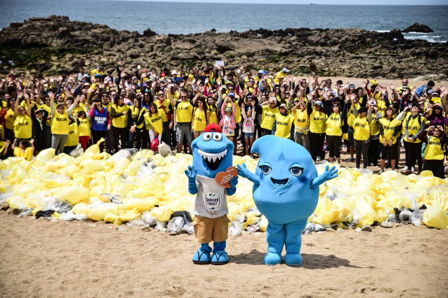 SEA LIFE Porto associa-se à iniciativa 24h Global Beach Clean Event no Dia Mundial dos Oceanos